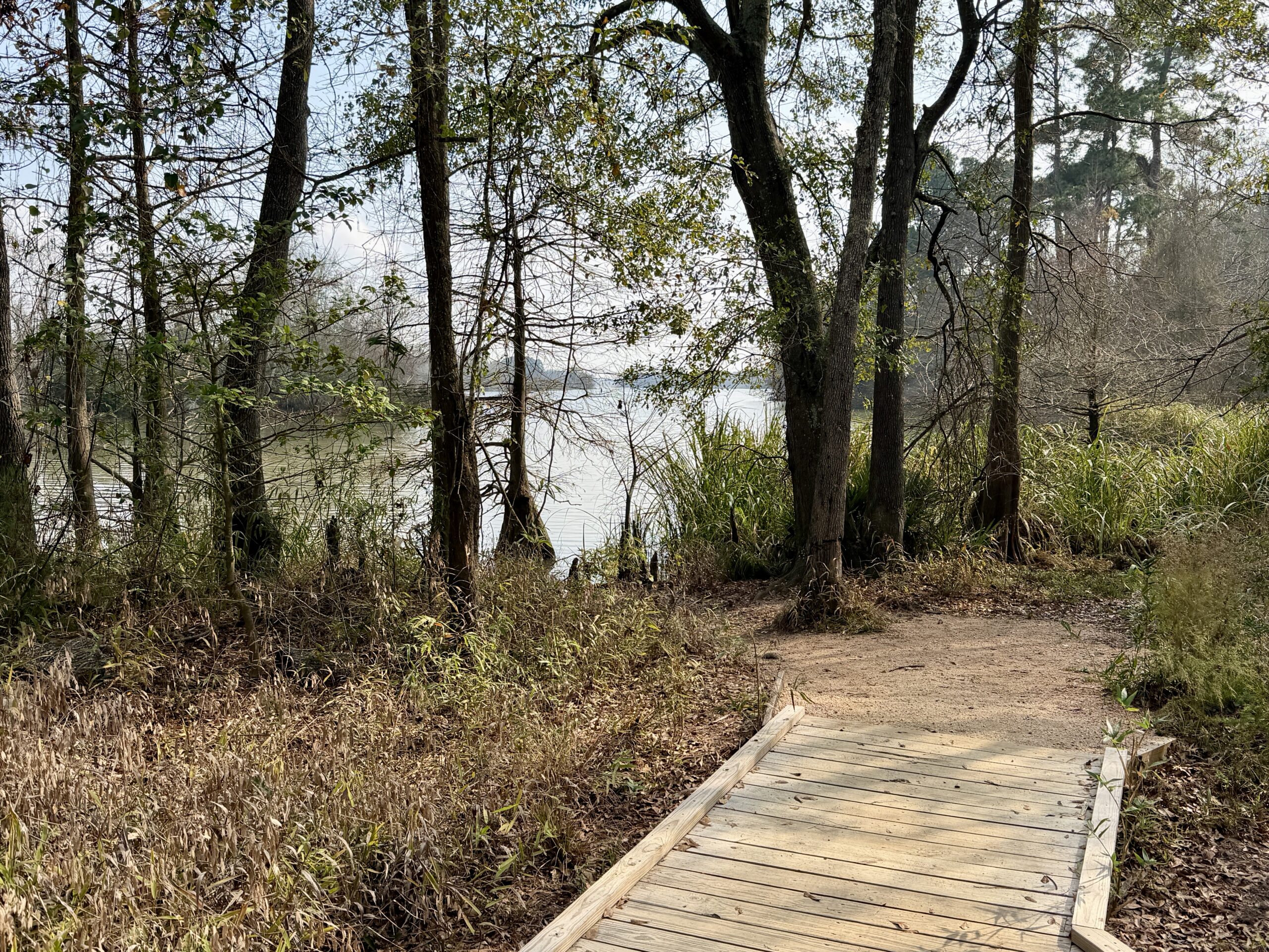 Kingwood, TX artificial turf projects