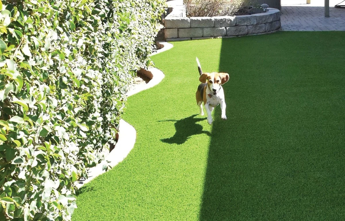 Drainage and Base Preparation in Kingwood